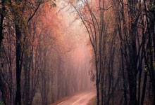 K1体育官网：斯基拉：菲利克斯不会留在米兰，可能会在夏窗被切尔西出售.