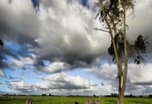 K1体育官网：[英超]布赖顿逆转战胜曼城.