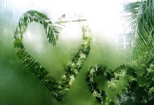 K1体育官网：经纪人：罗克仍可重返欧洲踢球，巴西队9号的位置依然开放.