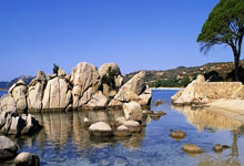 K1体育官网：3月31日前瞻 I 兵发四川，华南虎迎来常规赛收官战.